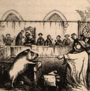 חזירה מועמדת לדין – פרט מתוך שער ספרו של אוונס: The Criminal Prosecution and Capital Punishment of Animals