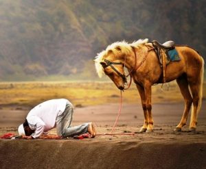 sujud - a young man praying on the border with horse - Irdan nofriza Nasution